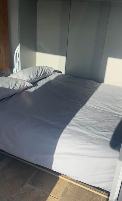 Adorable Bedsit For You, Partner And Your Pet! Stepaside  Екстериор снимка